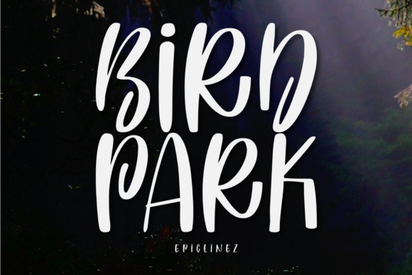 Bird Park Display Font for Modern Web Design